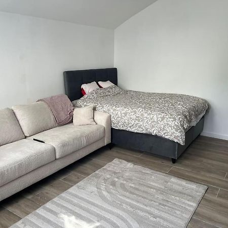 Maisonnette Avec Terrasse Avec Spa Privatif Lutterbach المظهر الخارجي الصورة